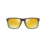 Sluneční brýle Oakley Holbrook OO9102-E3