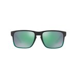 Sluneční brýle Oakley Holbrook OO9102-E4