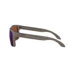 Sluneční brýle Oakley Holbrook OO9102-J8 - polarizační