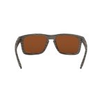 Sluneční brýle Oakley Holbrook OO9102-J8 - polarizační