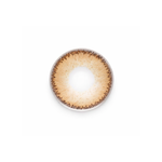 Phantasee Fashion - Design Brown (2 čočky tříměsíční) - nedioptrické