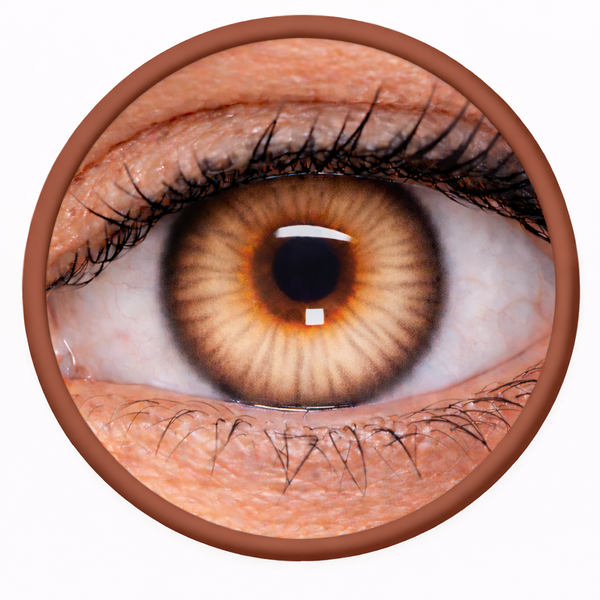 Phantasee Nülook - Misty Brown (2 čočky měsíční) - nedioptrické