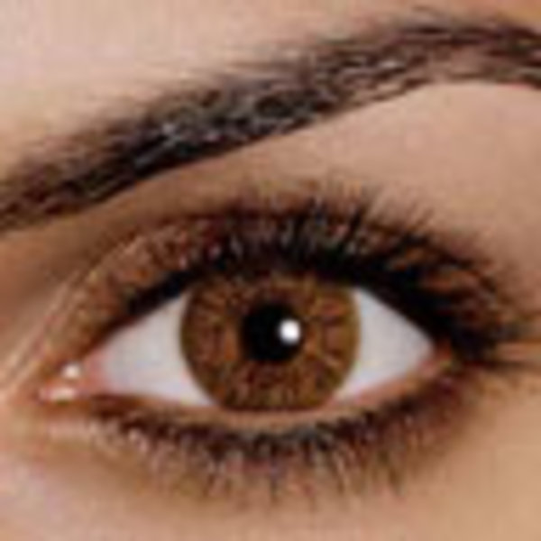 FreshLook One-Day Color - Pure Hazel (10 čoček) - nedioptrické